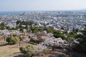 image001 神峰公園の展望台から日立市内を見下ろす