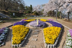 image003 神峰公園頂上の遊園地の奥にある花壇