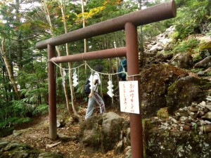 山中の鳥居