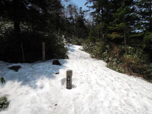 一応登山道