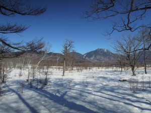 戦場ヶ原